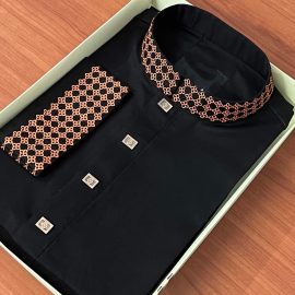 Premium Indian Tencel Cotton Panjabi A2